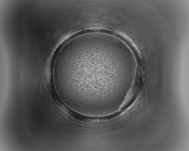 X0000087671167200705111151