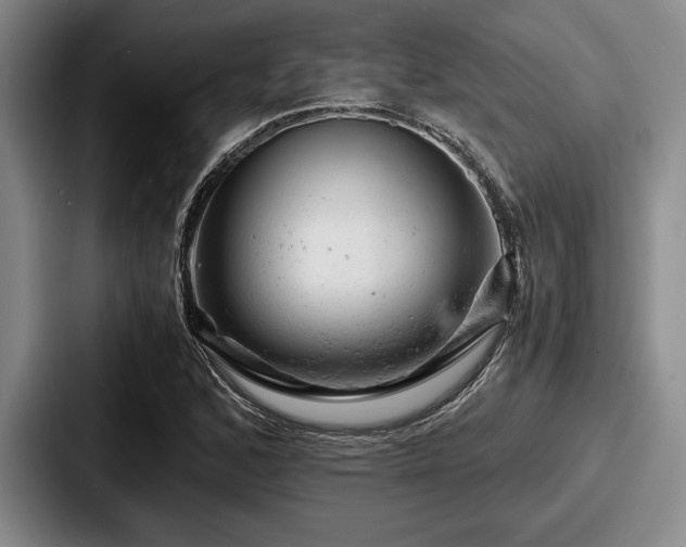 X0000087671168200705111151