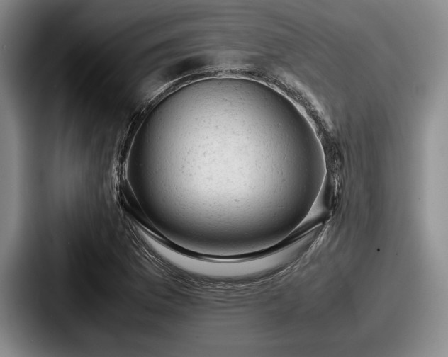 X0000087671169200705111151