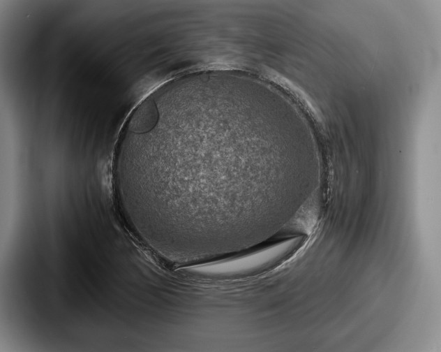 X0000087671170200705111151