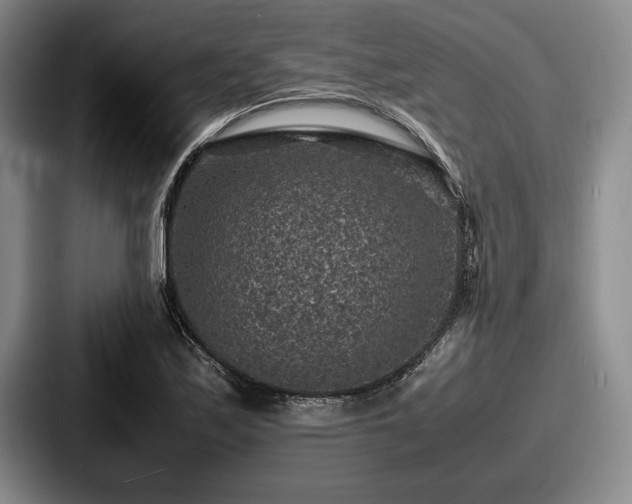 X0000087671171200705111151