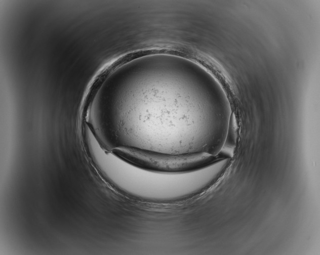 X0000087671172200705111151