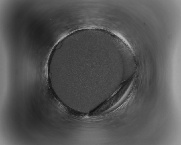 X0000087671173200705111151