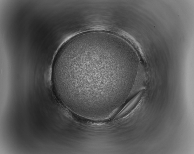 X0000087671174200705111151