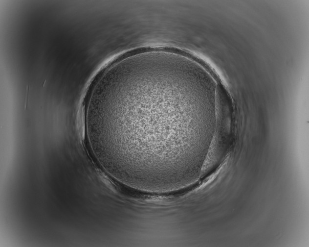 X0000087671175200705111151