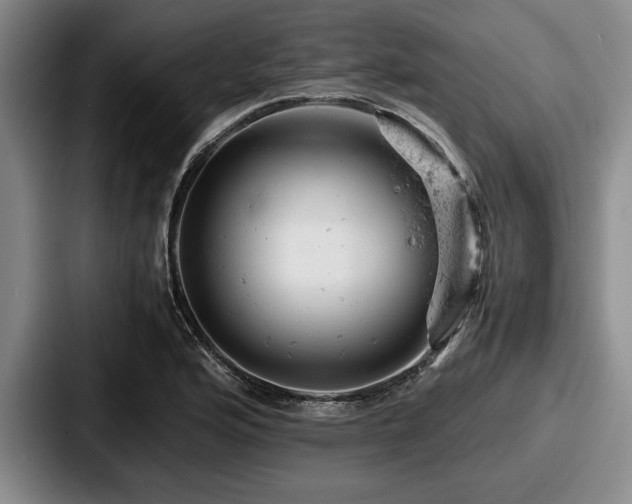 X0000087671176200705111151