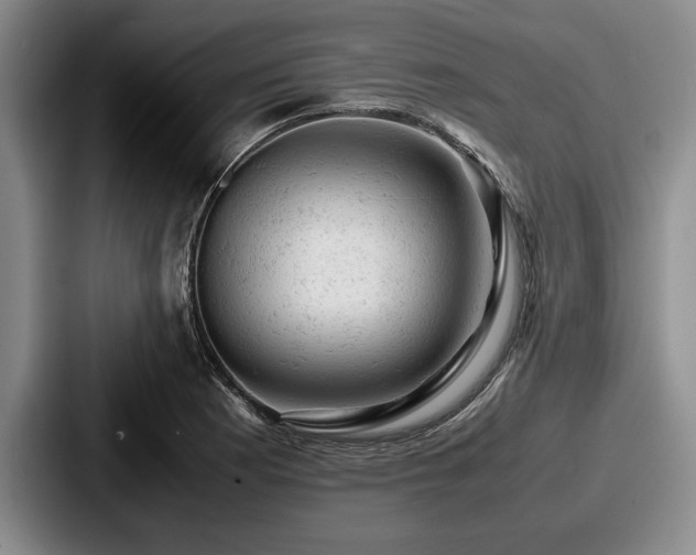 X0000087671177200705111151