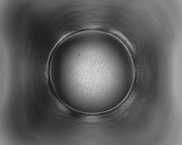 X0000087671178200705111151