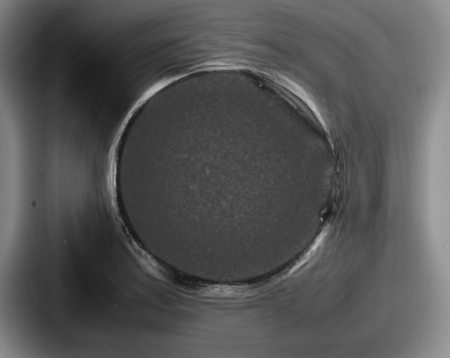 X0000087671179200705111151