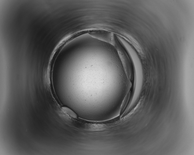 X0000087671180200705111151