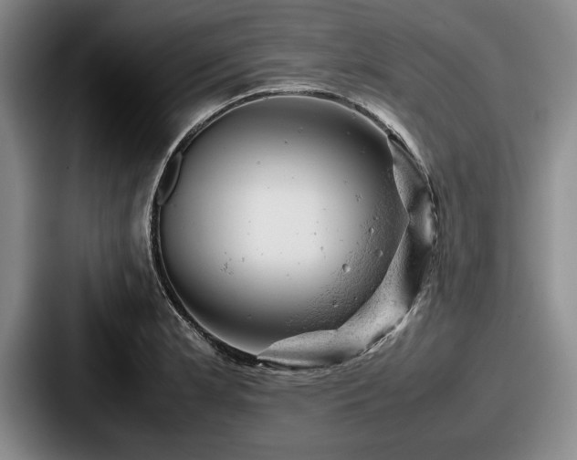 X0000087671181200705111151