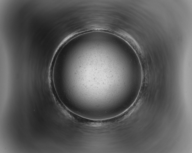 X0000087671182200705111151