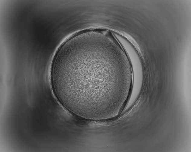 X0000087671183200705111151