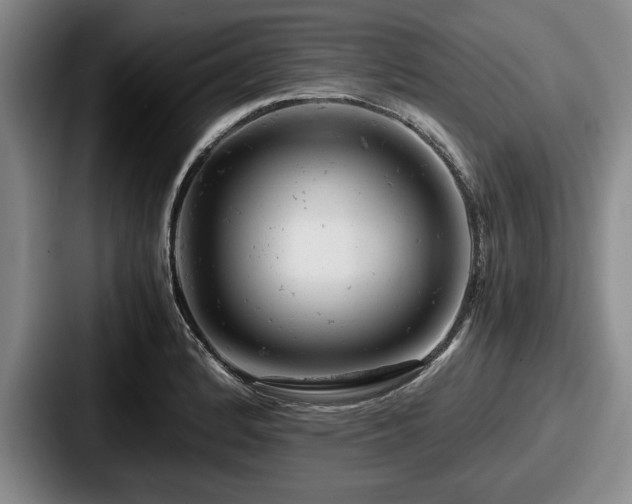 X0000087671184200705111151