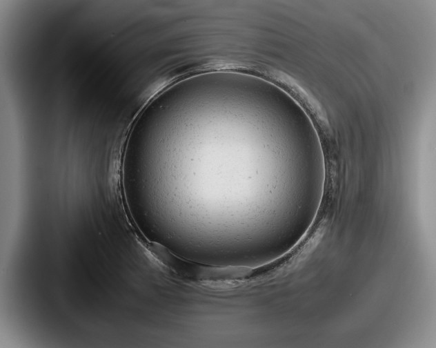 X0000087671185200705111151