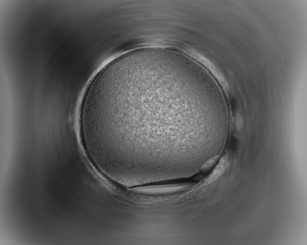 X0000087671187200705111151