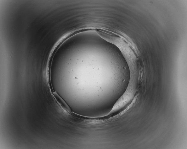 X0000087671188200705111151