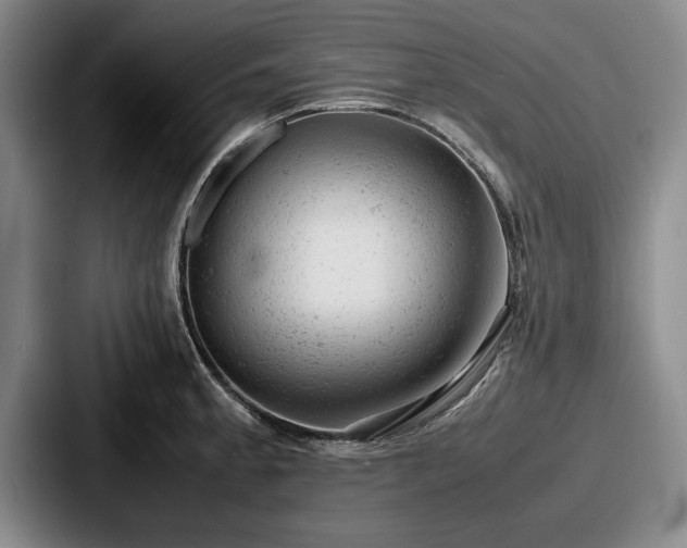 X0000087671189200705111151