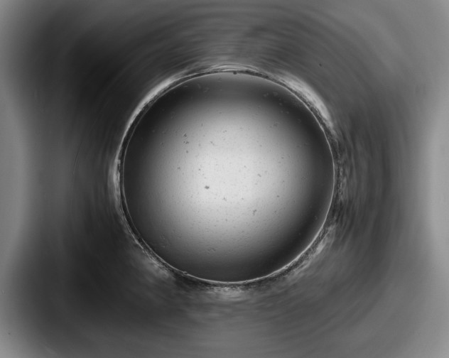 X0000087671190200705111151