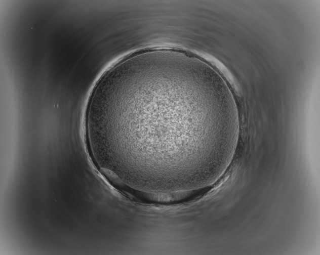 X0000087671191200705111151