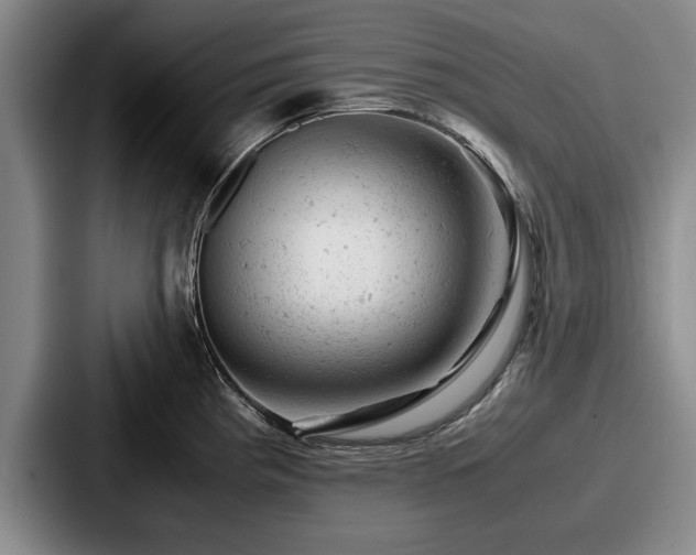 X0000087671193200705111151