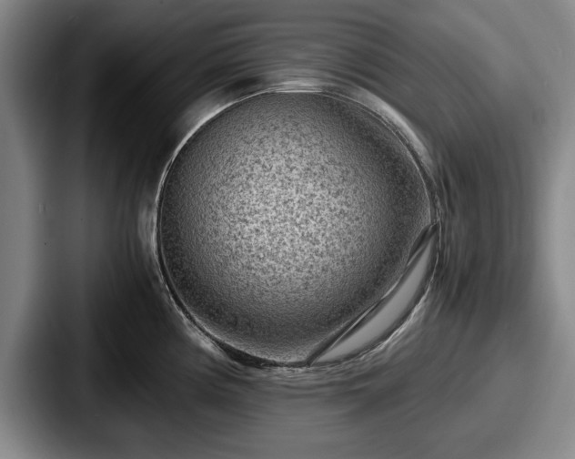 X0000087671194200705111151