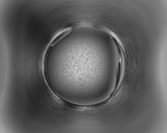 X0000087671195200705111151