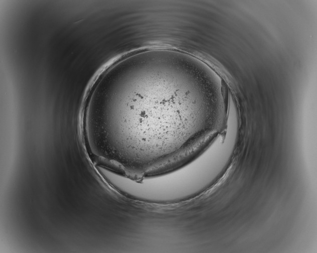 X0000087671196200705111151