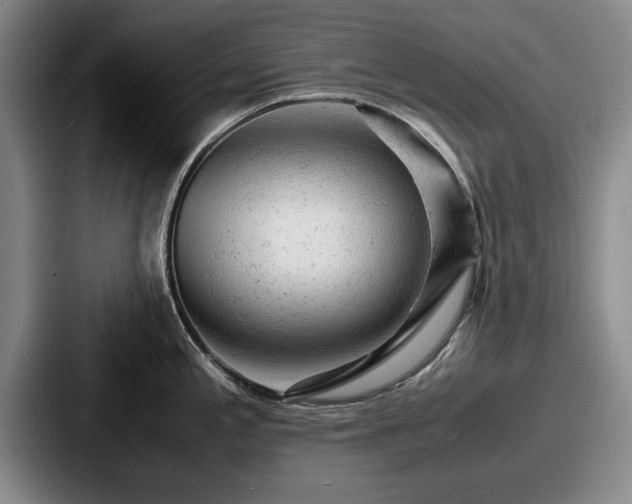 X0000087671197200705111151