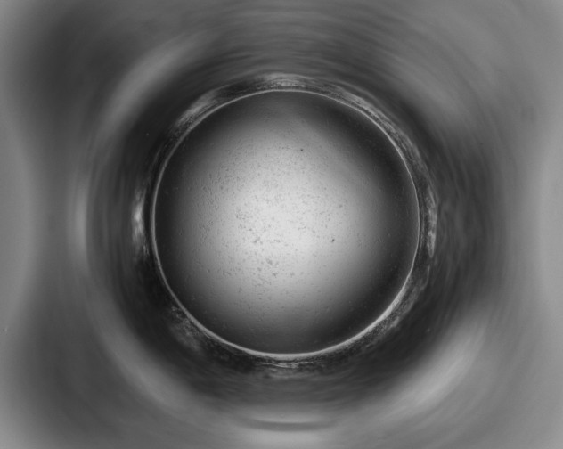 X0000087671198200705111151