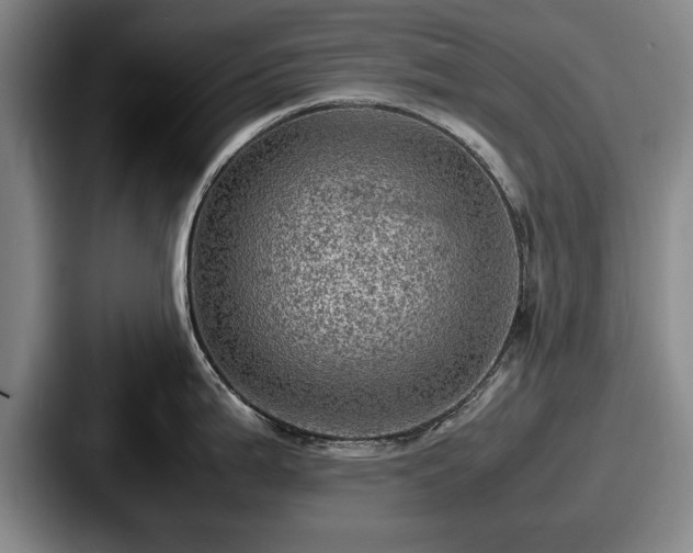 X0000087671199200705111151