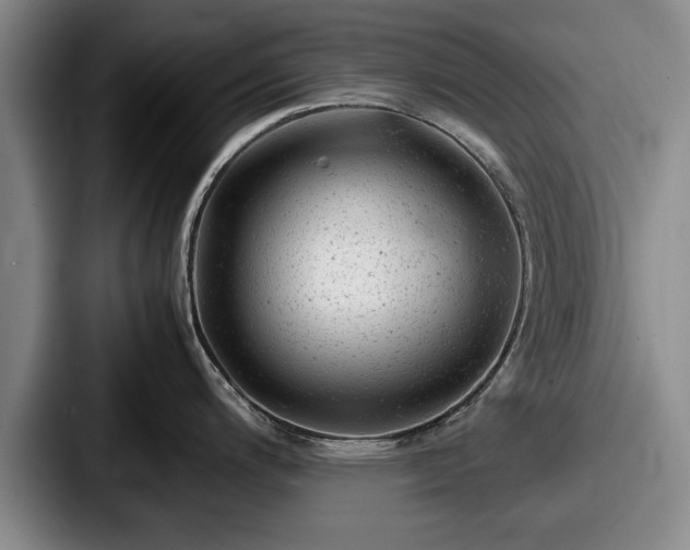 X0000087671200200705111151