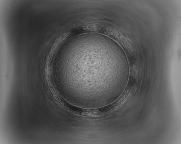 X0000087671201200705111150