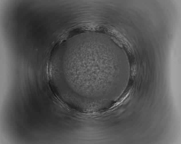 X0000087671202200705111150