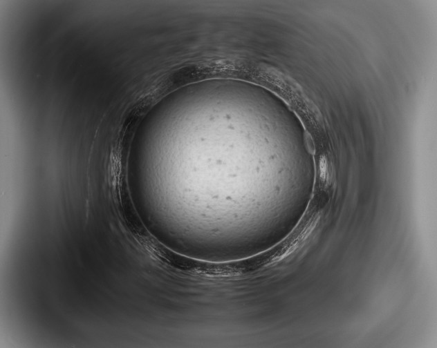 X0000087671203200705111150