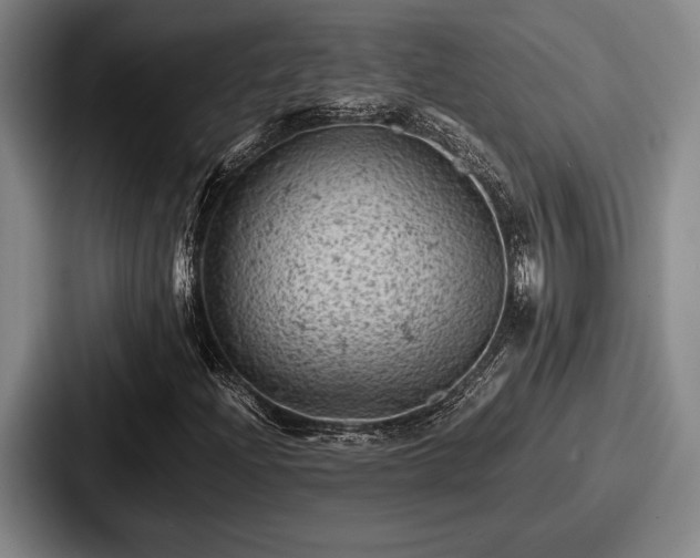 X0000087671204200705111150