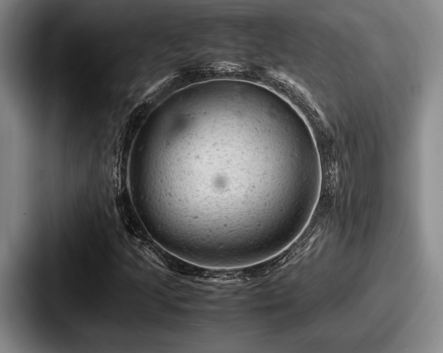 X0000087671205200705111150