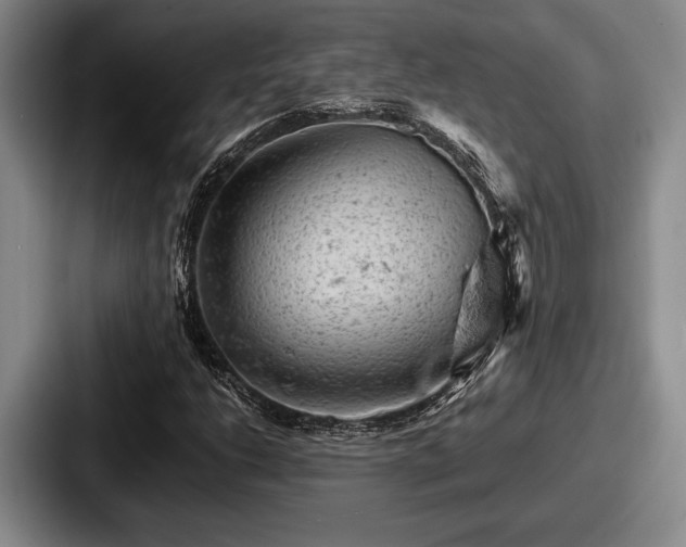 X0000087671206200705111151