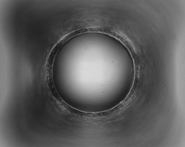 X0000087671208200705111151