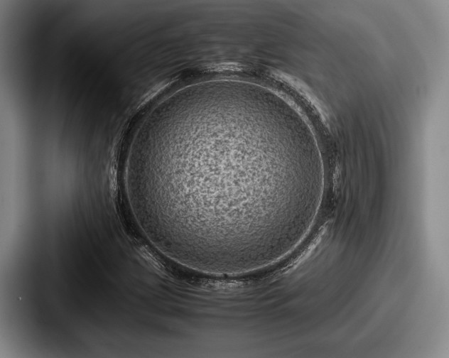 X0000087671209200705111151