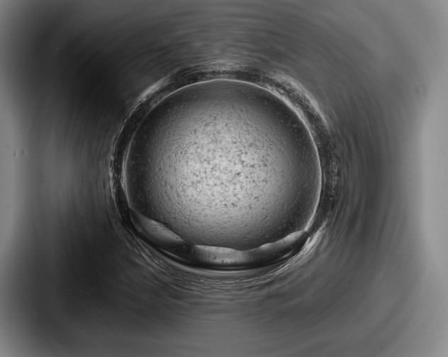 X0000087671210200705111151