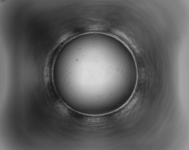 X0000087671211200705111151