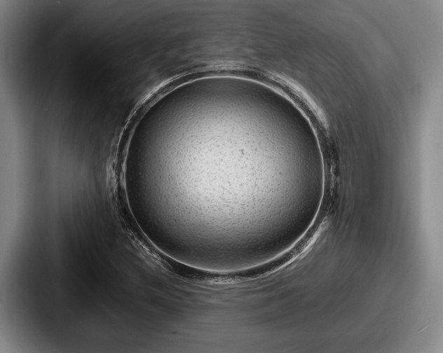 X0000087671212200705111151