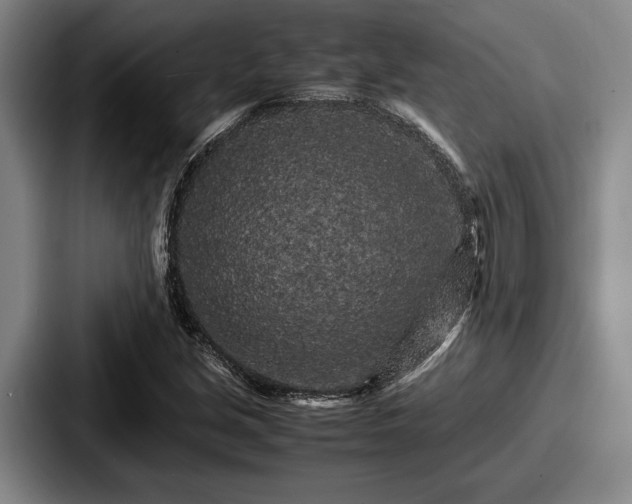 X0000087671213200705111151