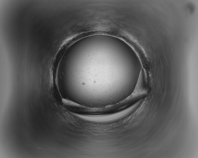 X0000087671214200705111151