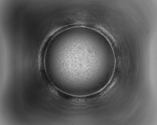 X0000087671215200705111151