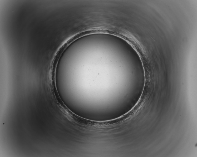 X0000087671216200705111151