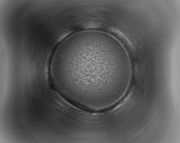 X0000087671217200705111151