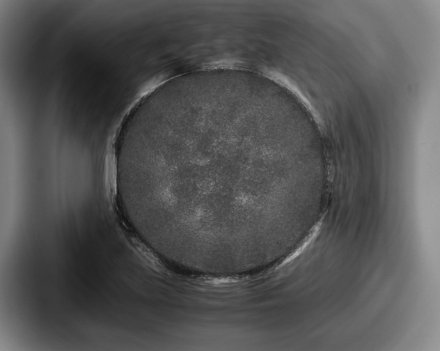 X0000087671219200705111151