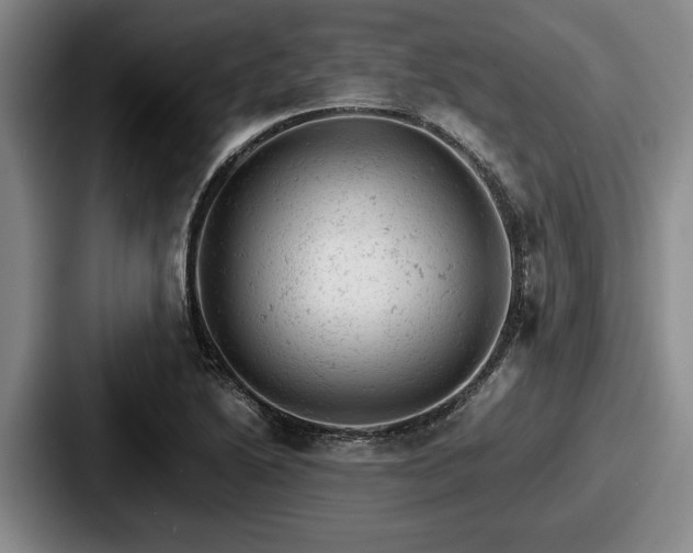 X0000087671222200705111151